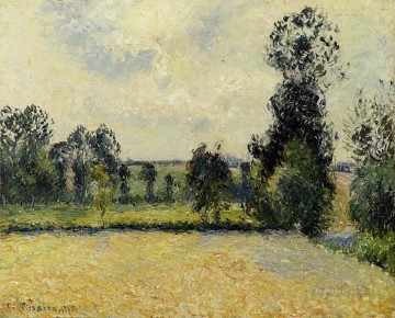 Camille Pissarro Painting - Campo de avena en eragny 1885 Camille Pissarro